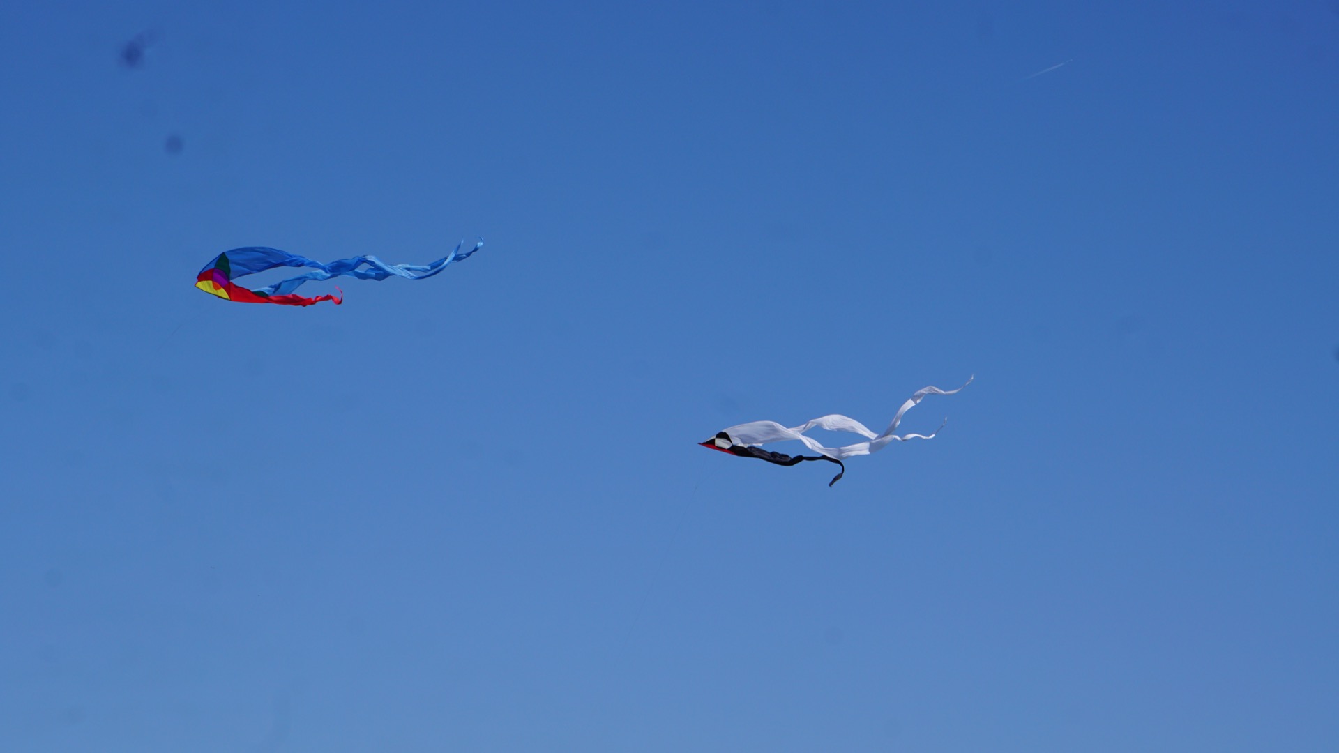 F-tail